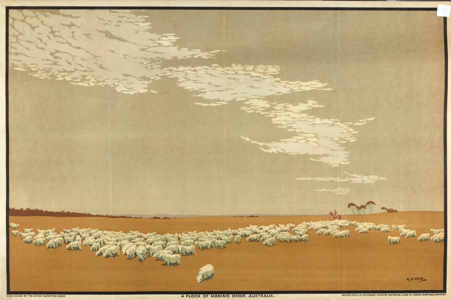 A flock of Merino sheep - Australia